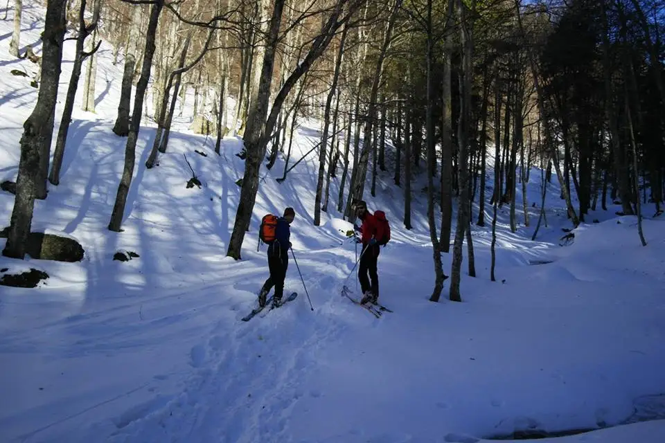  Schi de tura in Ciucas