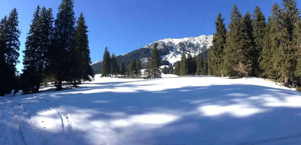  Schi de tura in Piatra Craiului