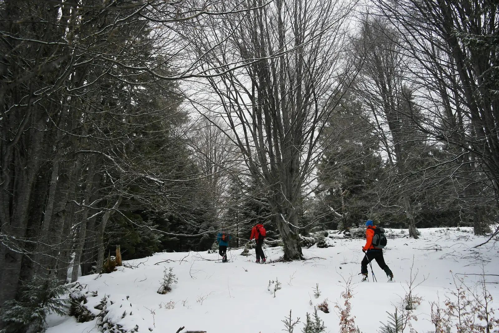  Schi de tura in Bucegi