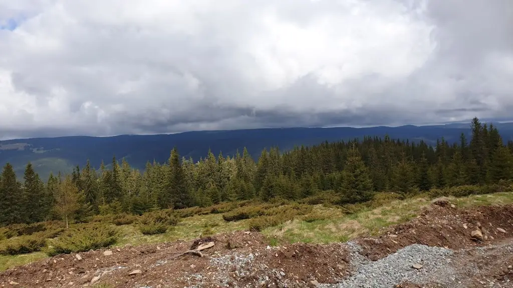  Traseu msg Maraton Apuseni