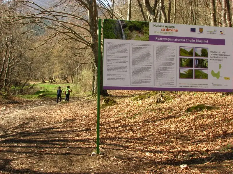  Cheile Silosului, după traversarea râului - Marius Chira