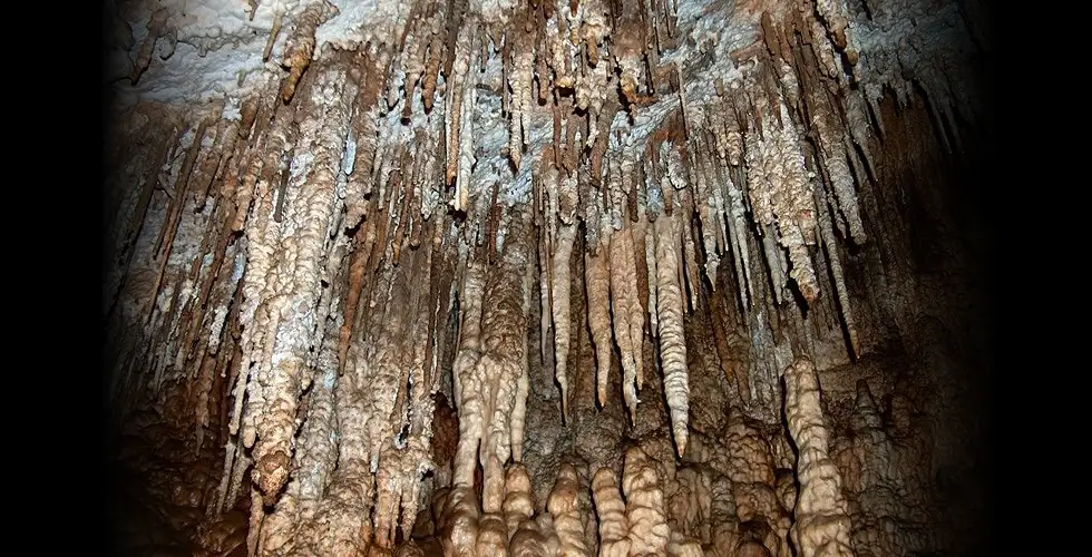  Concretiuni pestera - Complex Muzeal BN