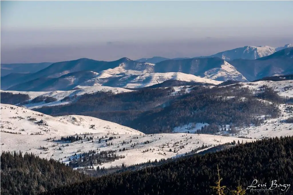  Buscat spre împrejurimi - Levi Bagy Photography