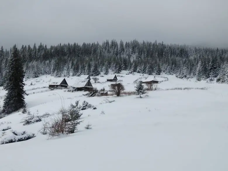  Catunul Crint - Manu Muntomanu