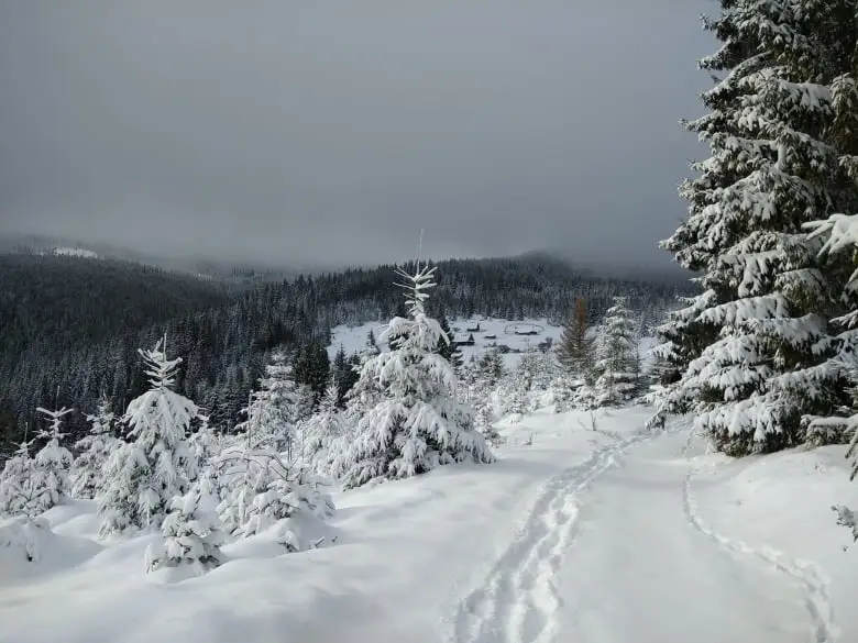  urcare spre catunul Crint - Manu Muntomanu