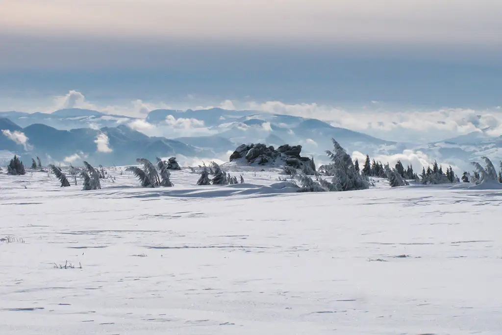  Vf.-Piatra-Cantatoare---Marian-Poara--Banda-Rosie