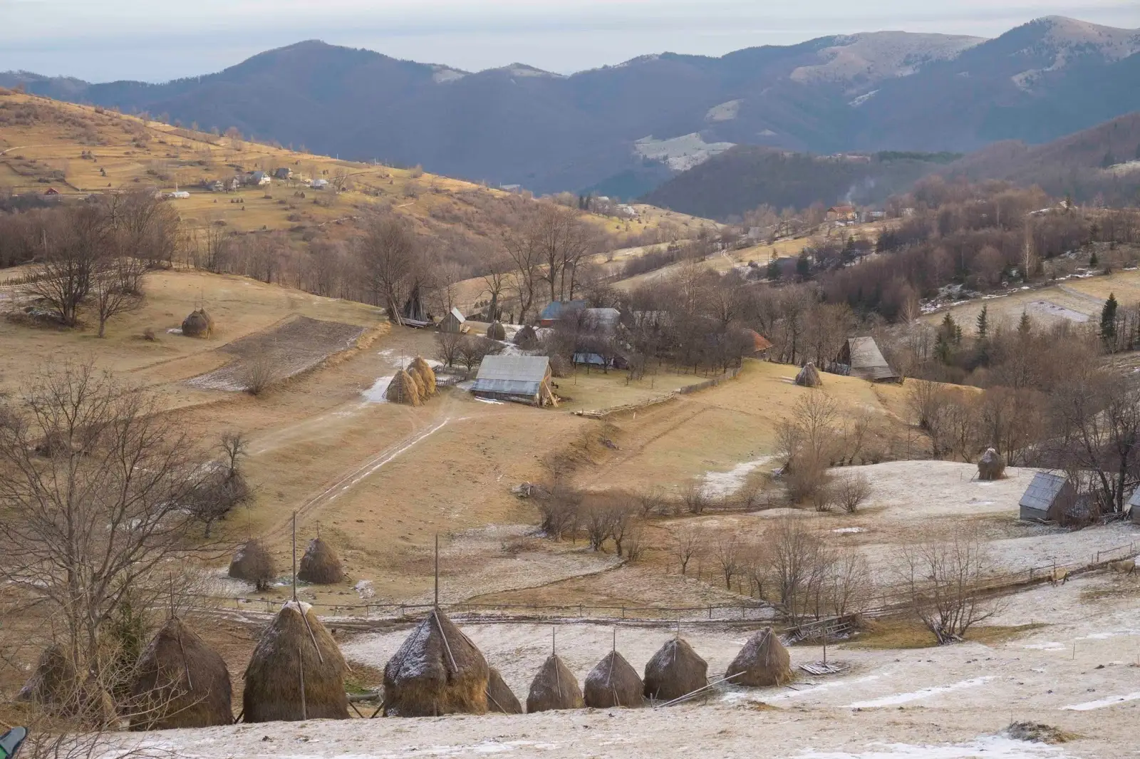  Cateva-gospodarii-ale-intinsului-sat-Rogojel - Banda Rosie