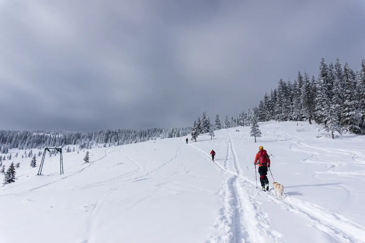 la-schi-in-Vladeasa - Banda Rosie
