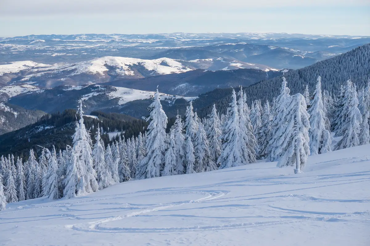  schi-de-tura-in-Vladeasa - BA - Banda Rosie