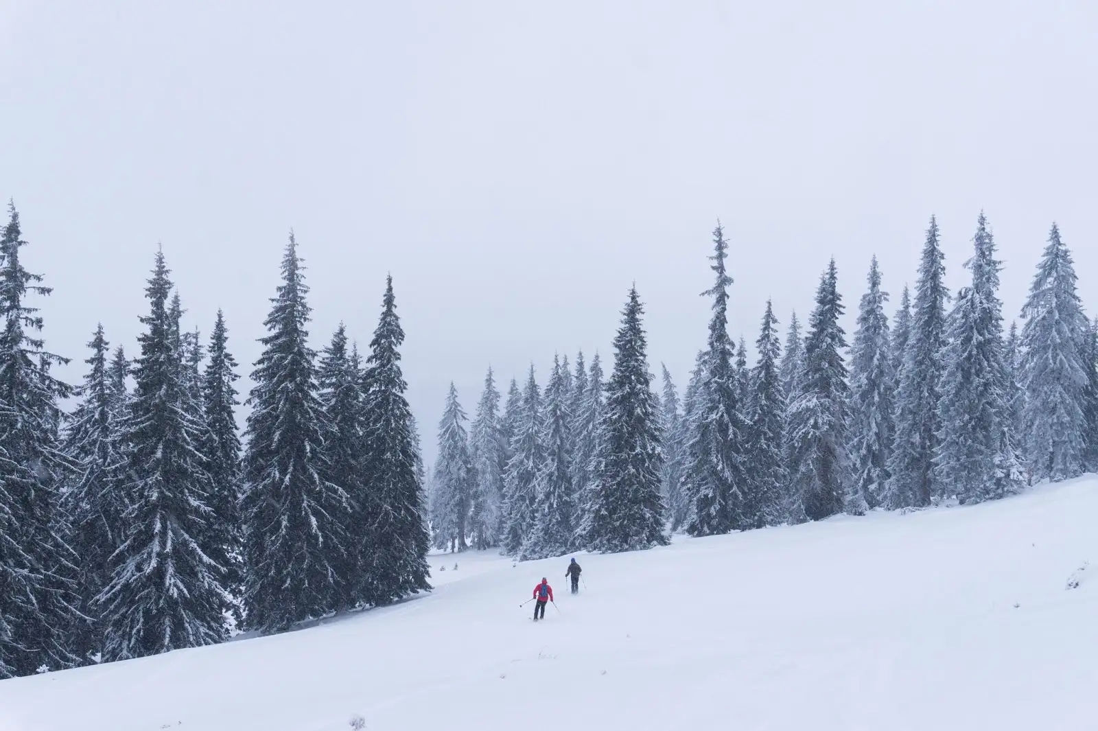  coborare-pe-schiuri-de-tura-Vladeasa - Banda Rosie