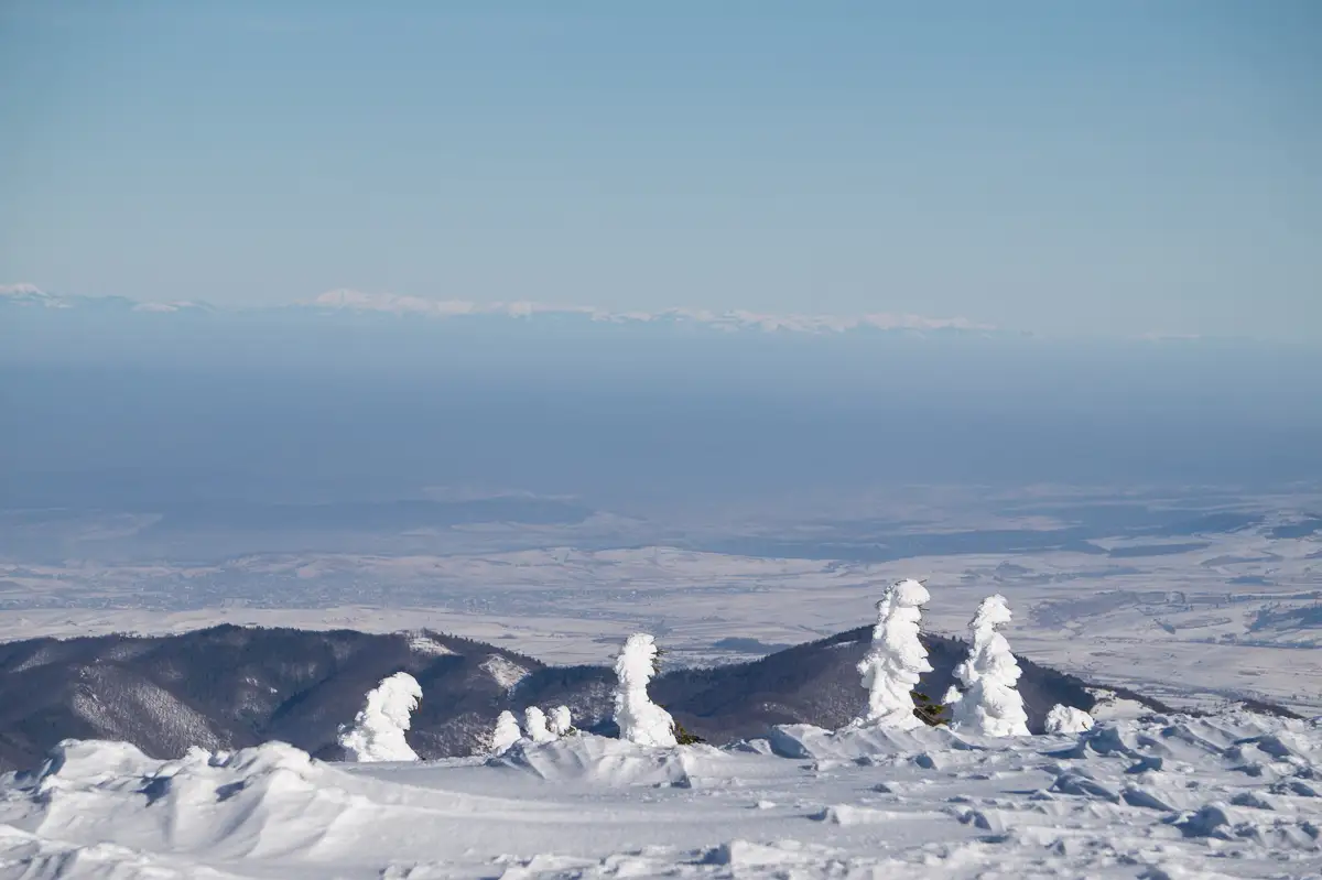  creasta-Rodnei-vazuta-din-Vladeasa -  Banda Rosie