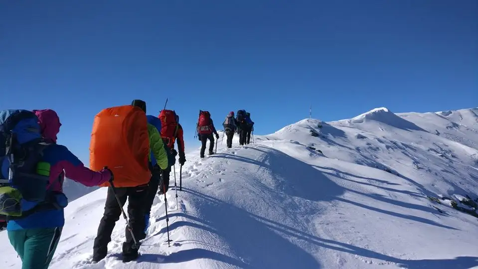  spintecatura papusii 3