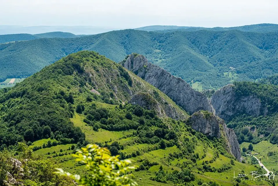  Versantul stang - Levi Bagy Photography