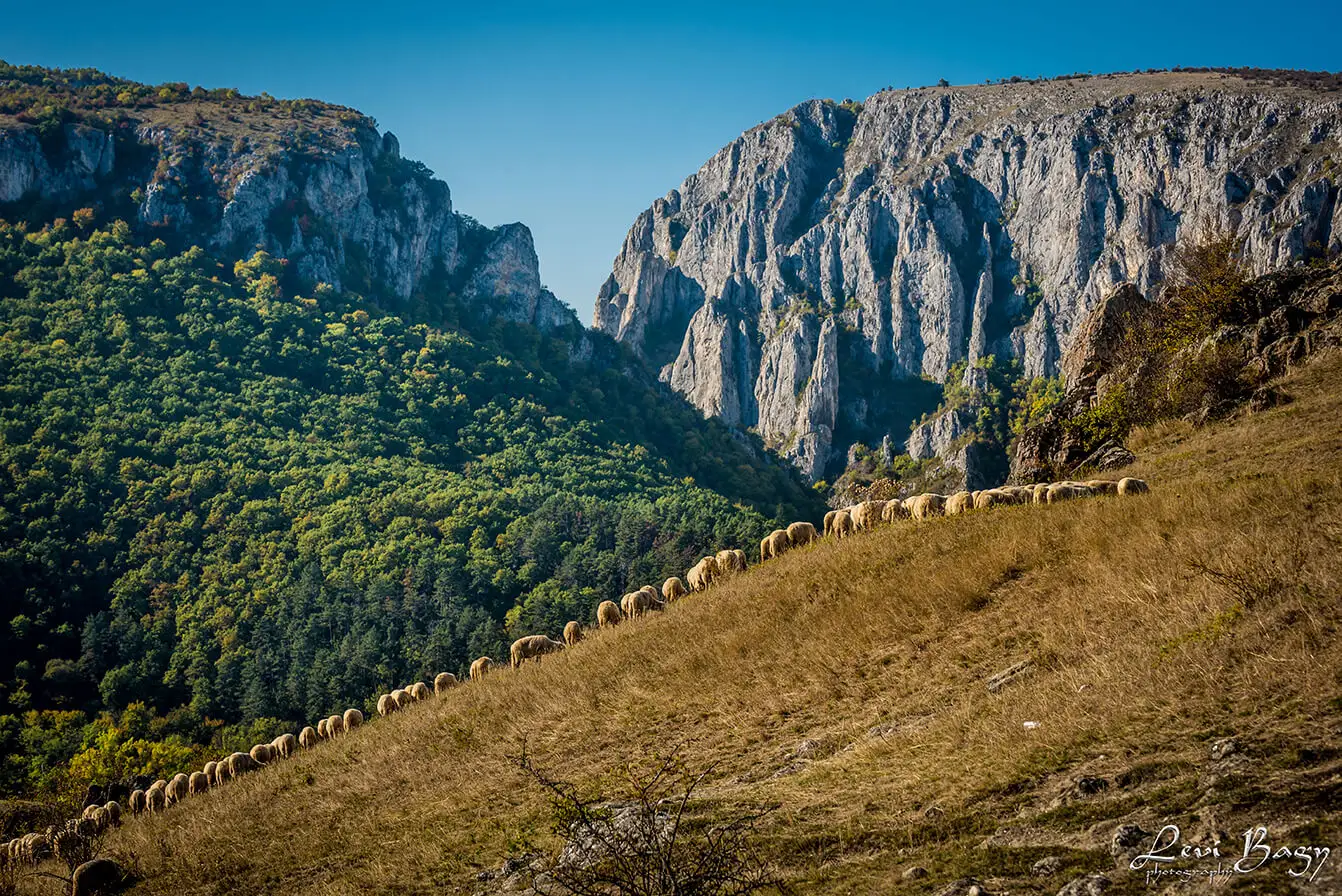  Cheile-Turzii-Levi-Bagy-Photography