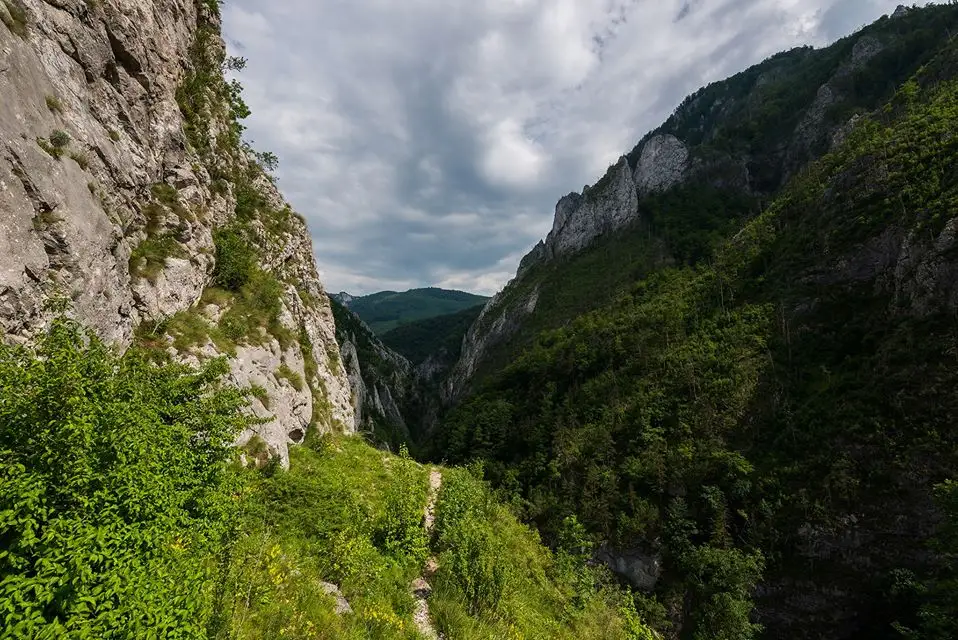  Brana Caprei din Cheile Rametului - Morar Daniel