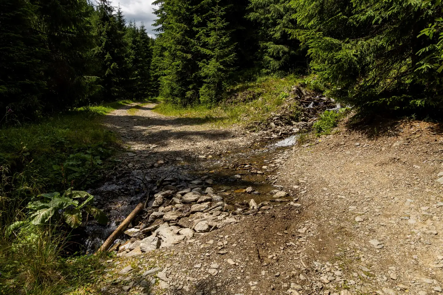  Portiune de drum spre La Valtoare - Andrei Pahomi - CalatoriileLuiAndrei