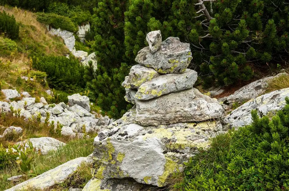 Momai spre Lacul Pasari - Morar Daniel