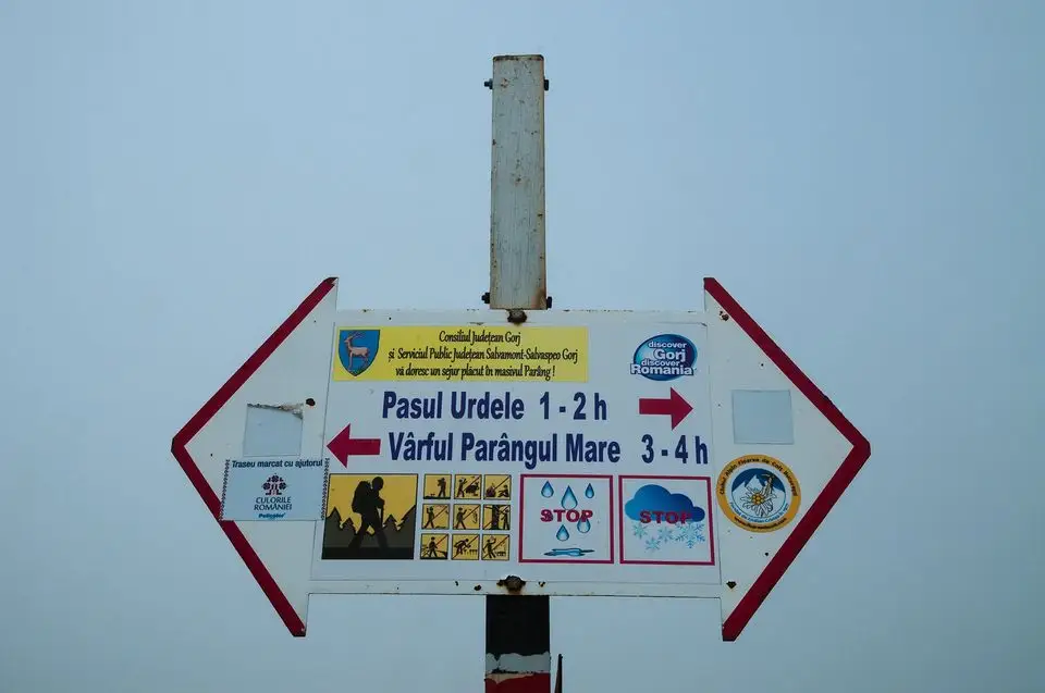 Indicator sub Setea Mare - Morar Daniel