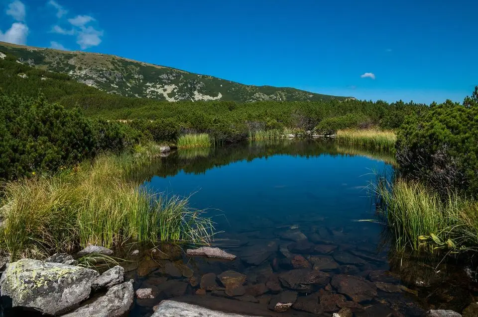  Iezer sub Lacul Galcescu - Morar Daniel