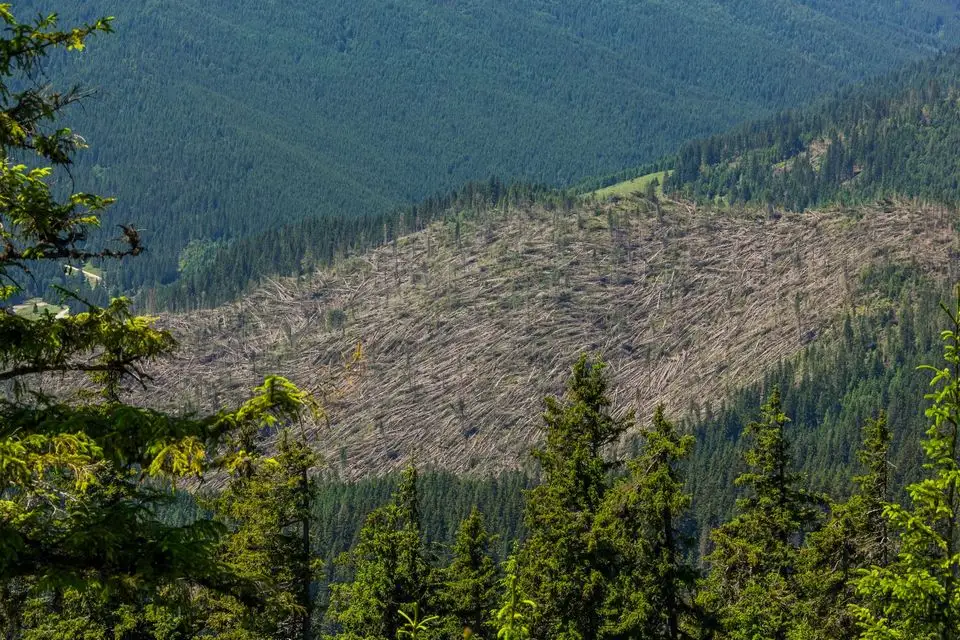  Furtuna in zona Balan - Comsa Bogdan