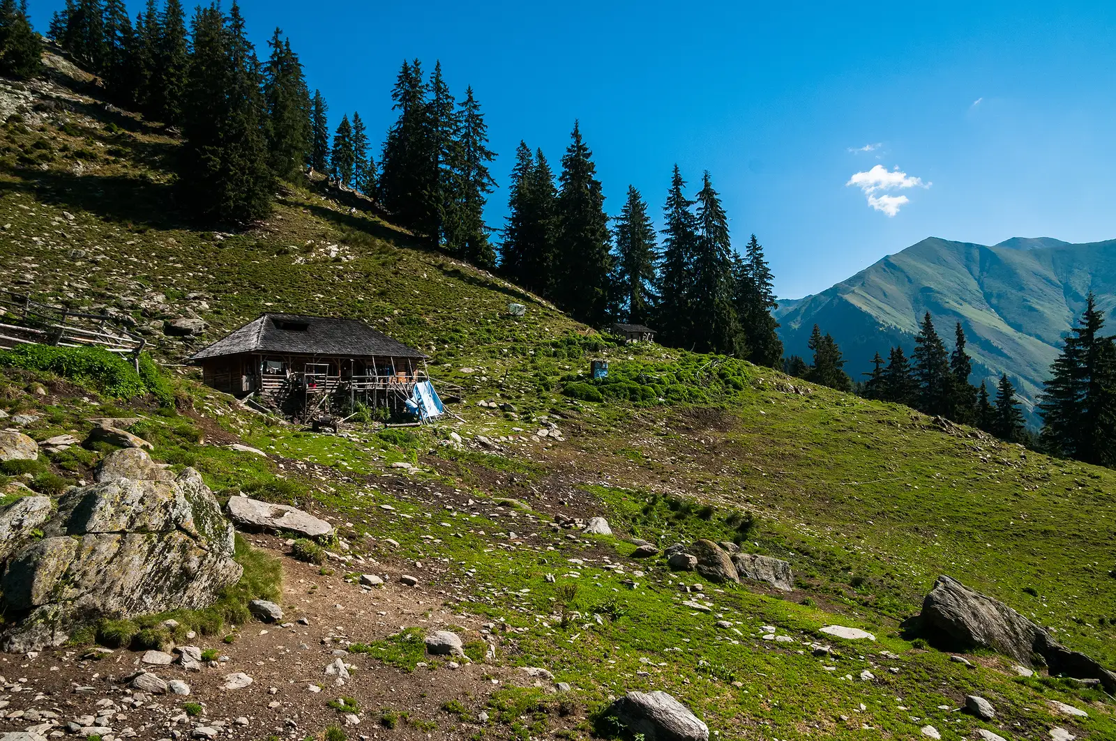  Stâna Lespezi dimineața la ora la care oile sunt la pășunat. 