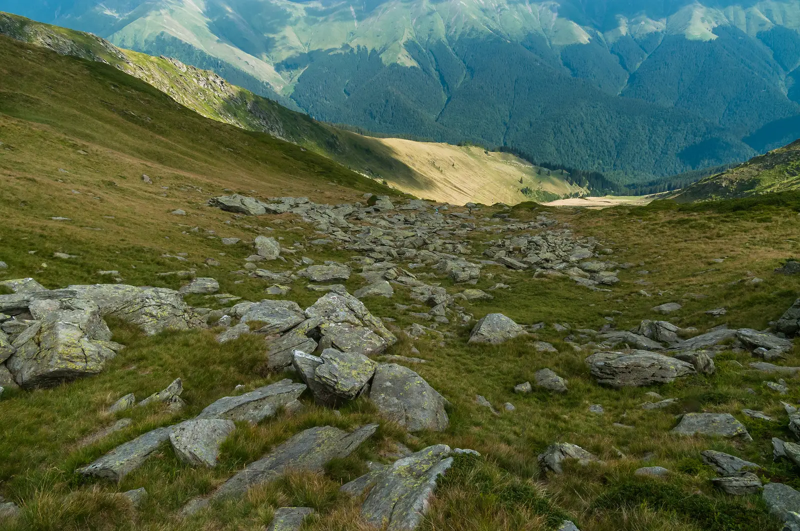  Fundul căldării este tapetat cu bolovani rămași aici ca merenă de fund a vechiului ghețar care a modelat relieful.