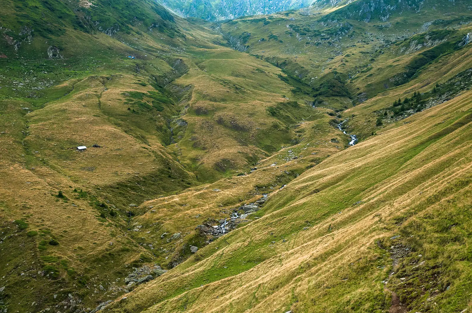  Privind în spate avem o priveliște de ansamblu a văii și căldării prin care am coborât din Șeuța Lespezi.