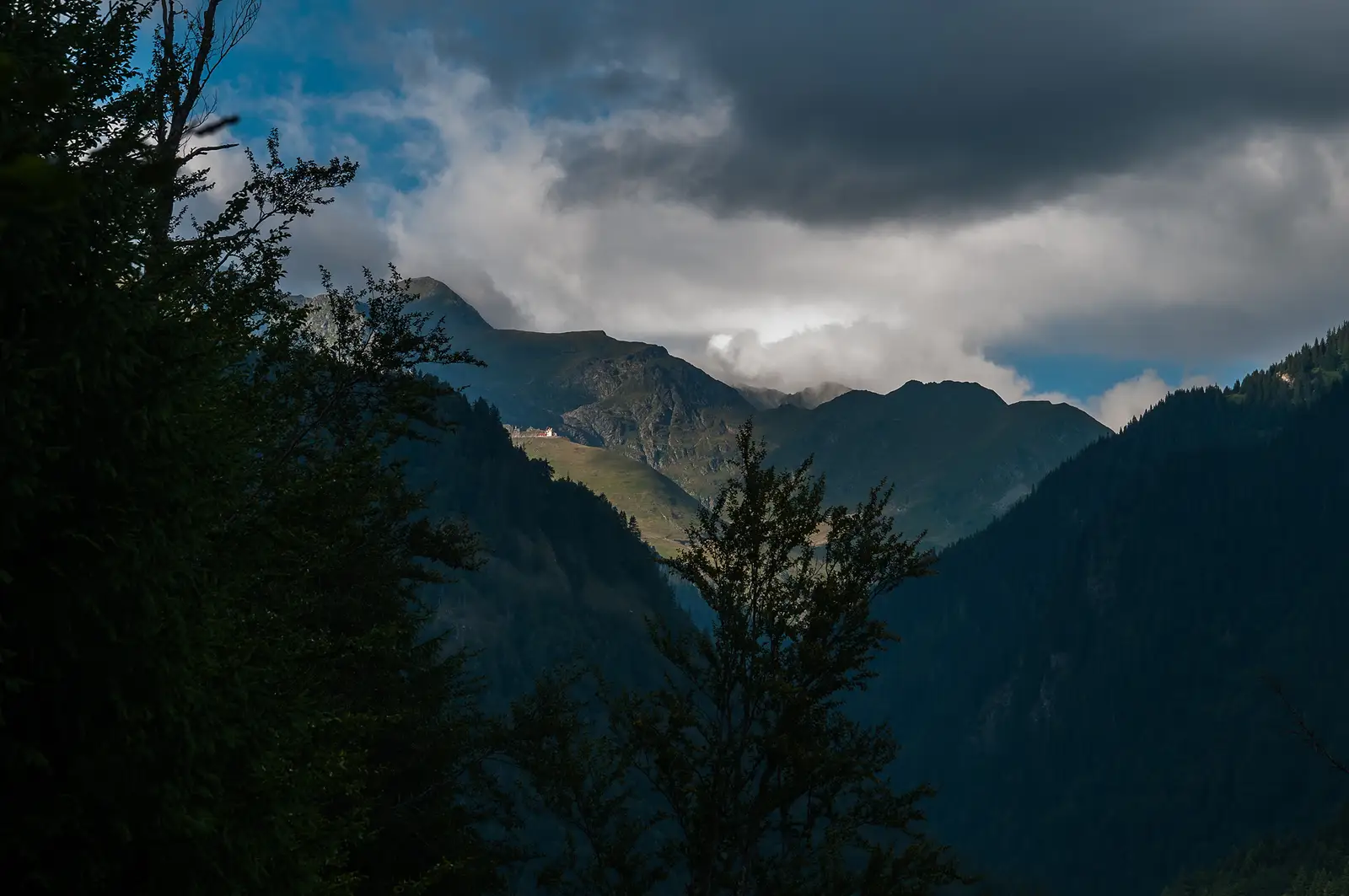  Printre crengile copacilor zărim Cabana Salvamont Cota 2000 de pe Transfăgărășan.