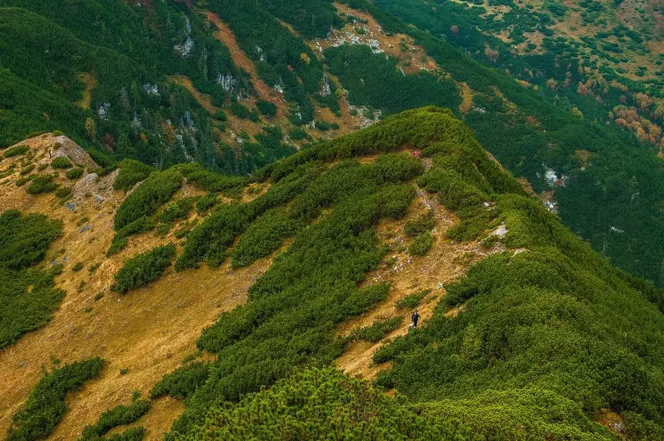  Urcarea din Șaua Iepei spre Vf. Piule - Daniel Morar