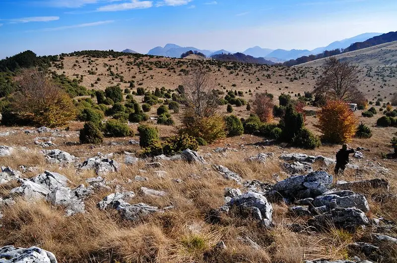  Lapiezuri si ienuperi pe platoul Ciumerna - Daniel Morar