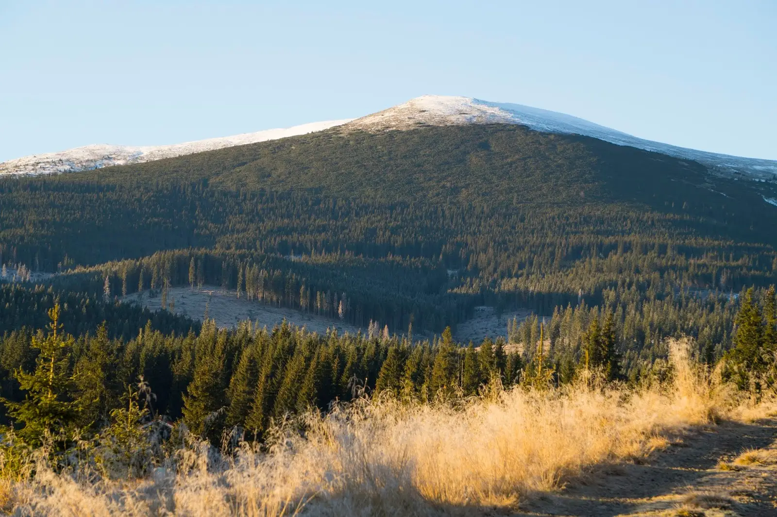 Varful-lui-Patru-vazut-din-Luncile-Prigoanei - Alina Cirja