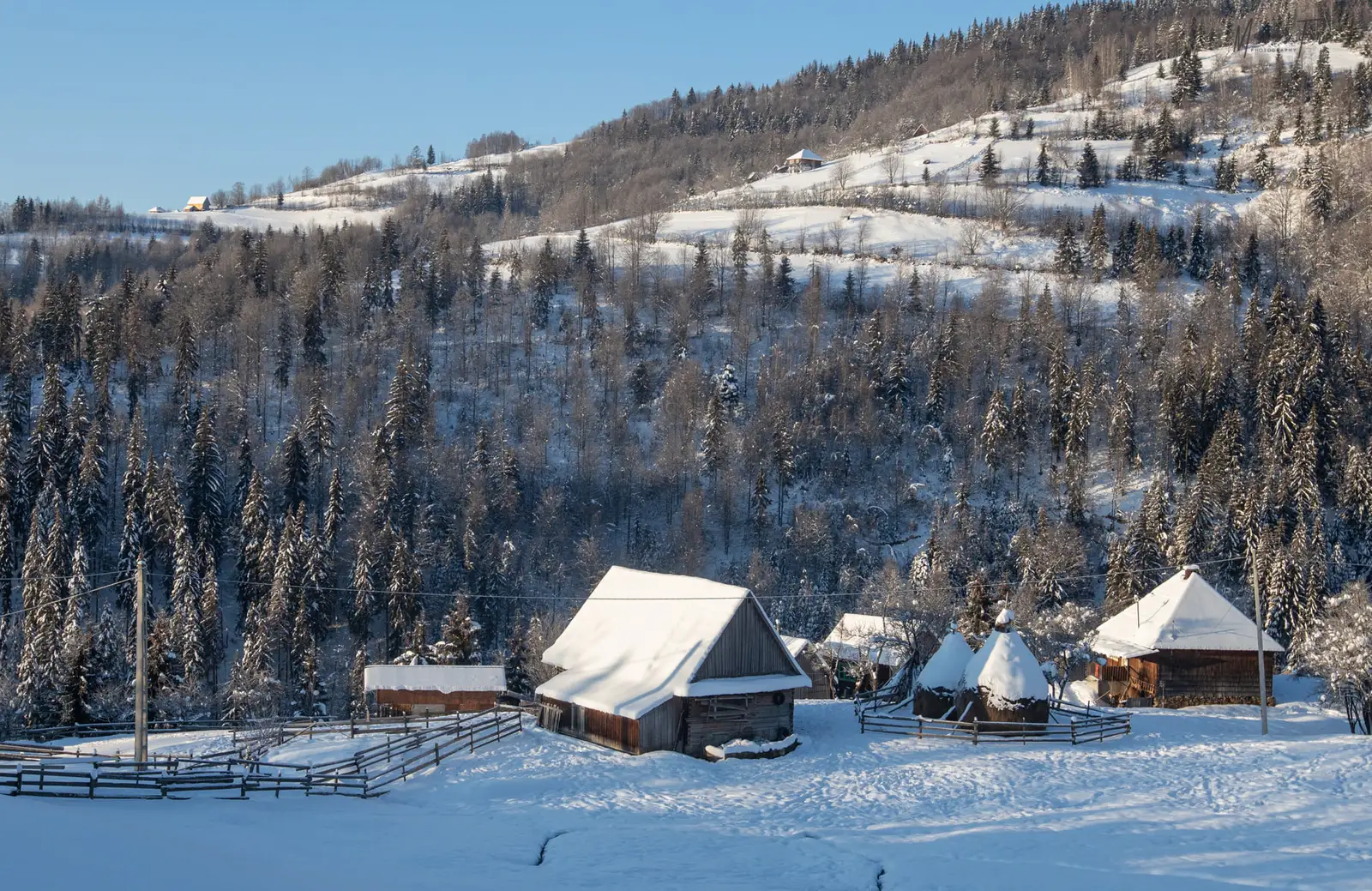  Case faine ale motilor pe la Dârlești - Marius Turc