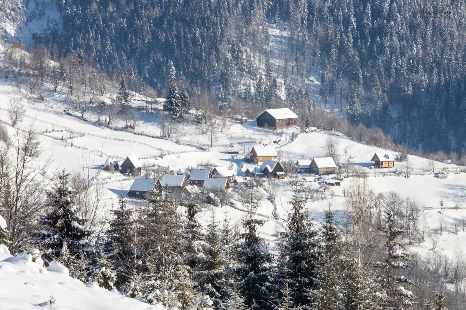  Gospodarii din Petreasa - Marius Turc