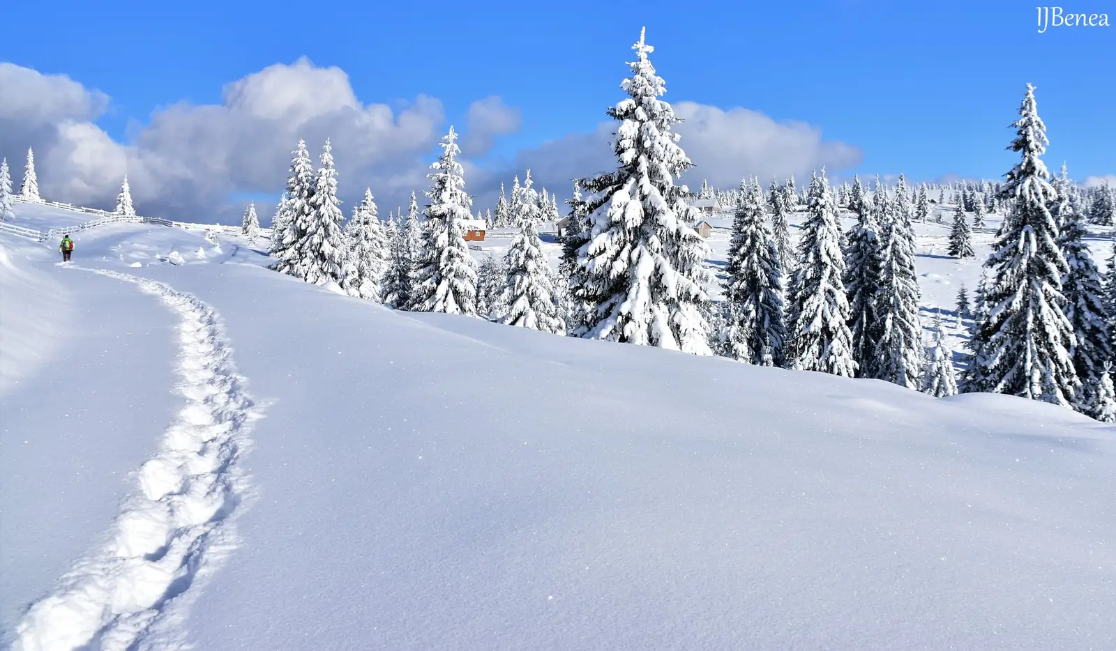  Colibele dintre brazi - Ioan Benea Jurca