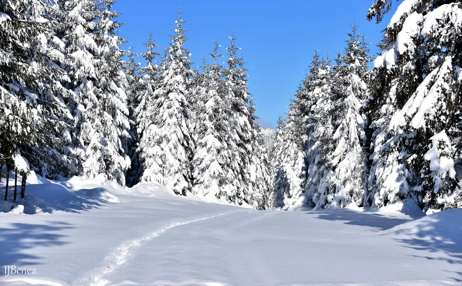  Poteca superba dintre brazi - Ioan Benea Jurca