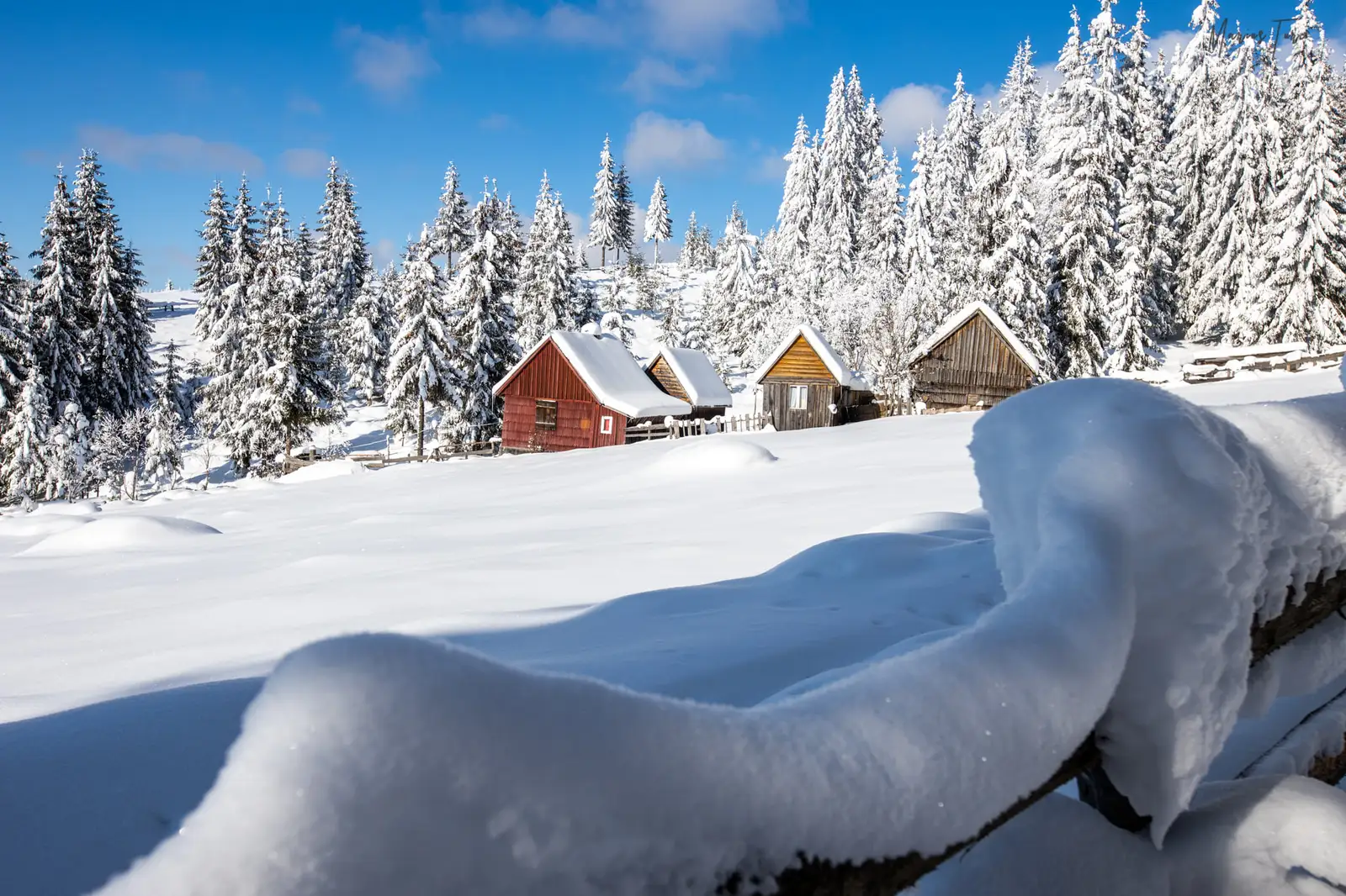  Surprindem grupul vesel de casute - Marius Turc