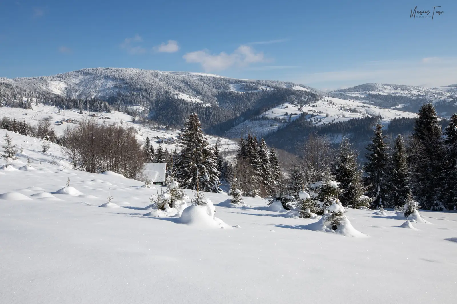  Culmile albite ne asteapta - Marius Turc