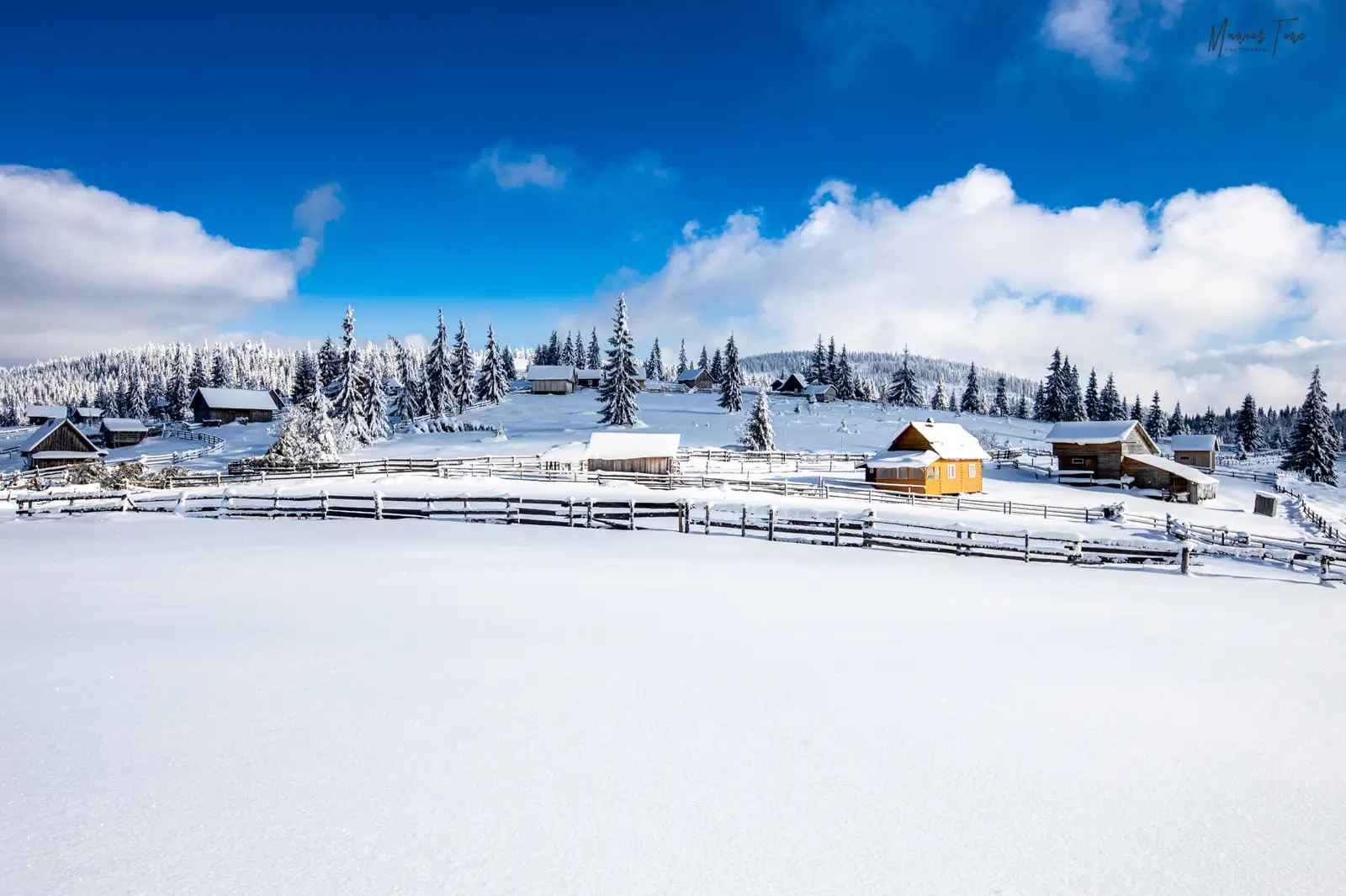  Dincolo de gard e lumea lor - Marius Turc