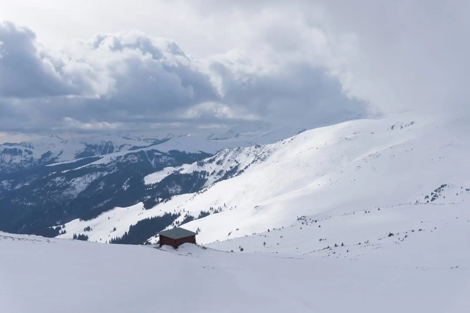 După amiază de iarnă în șaua Gărgălău - Alina Cîrja
