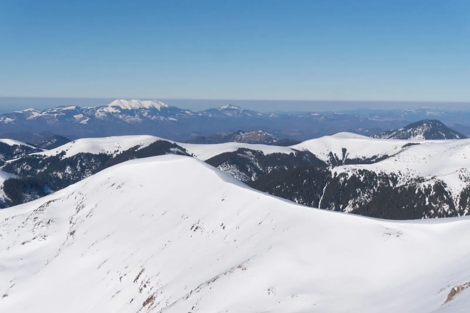 Țibleș, muntii Gutâi, Igniș dar și creasta Făgărașilor - Alina Cîrja