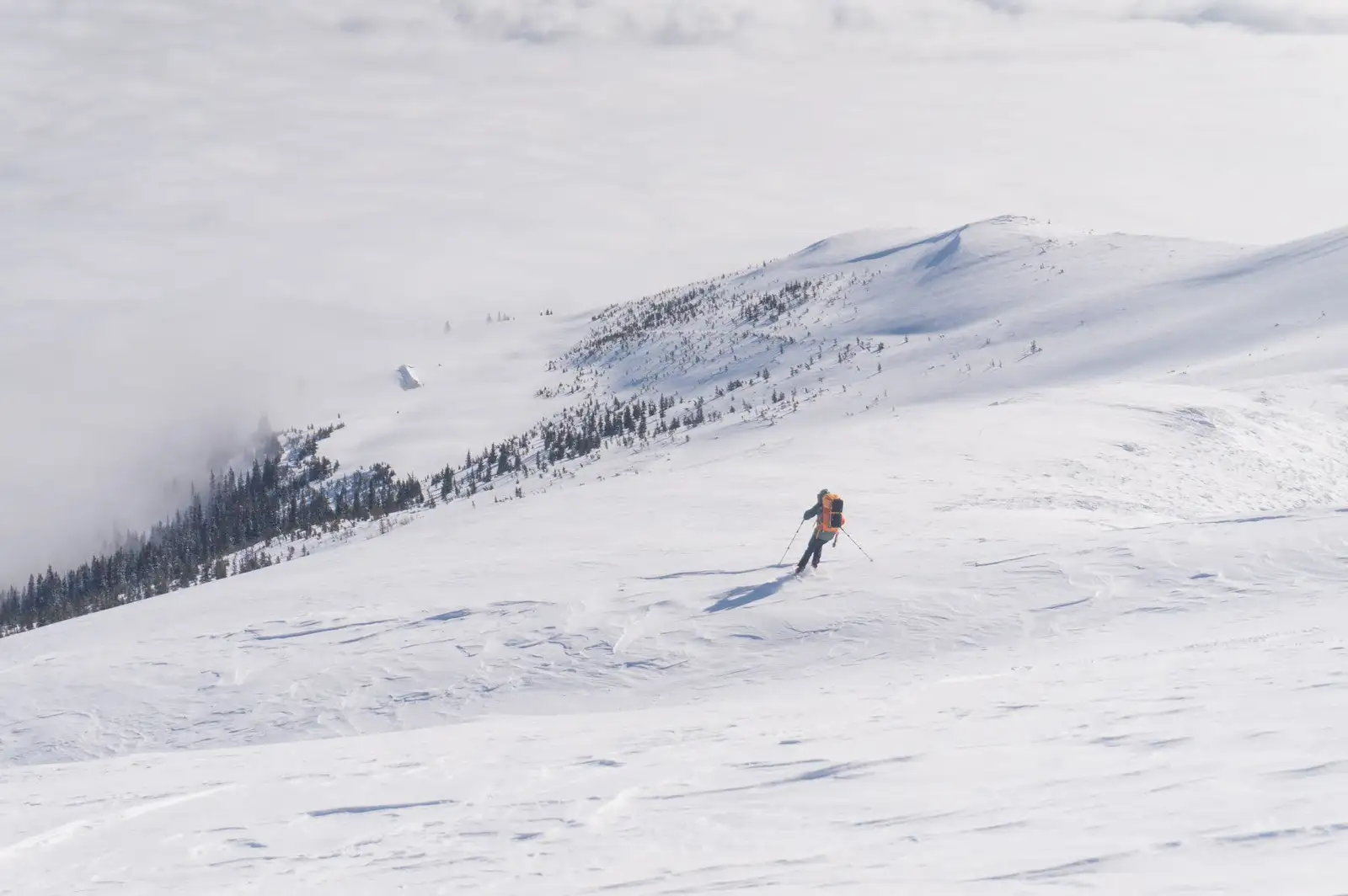 De pe vârful Roșu spre Alpina Blazna - Alina Cîrja