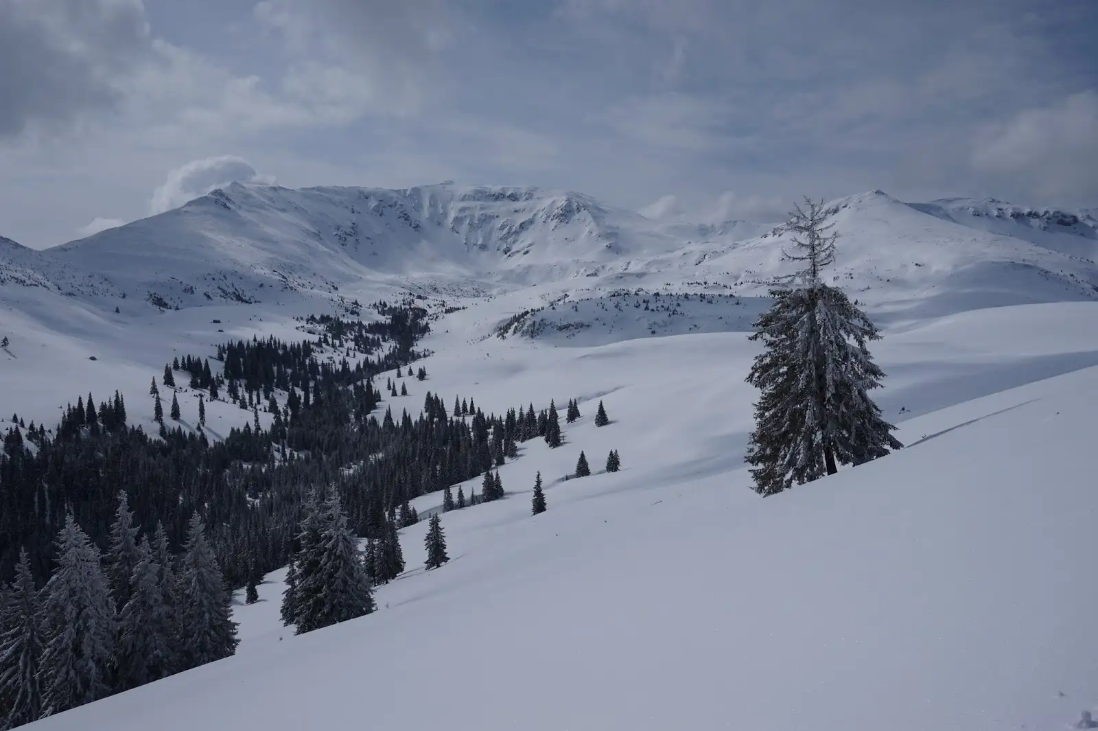  Cadru frumos cu Gărgălăul - Alina Cârja