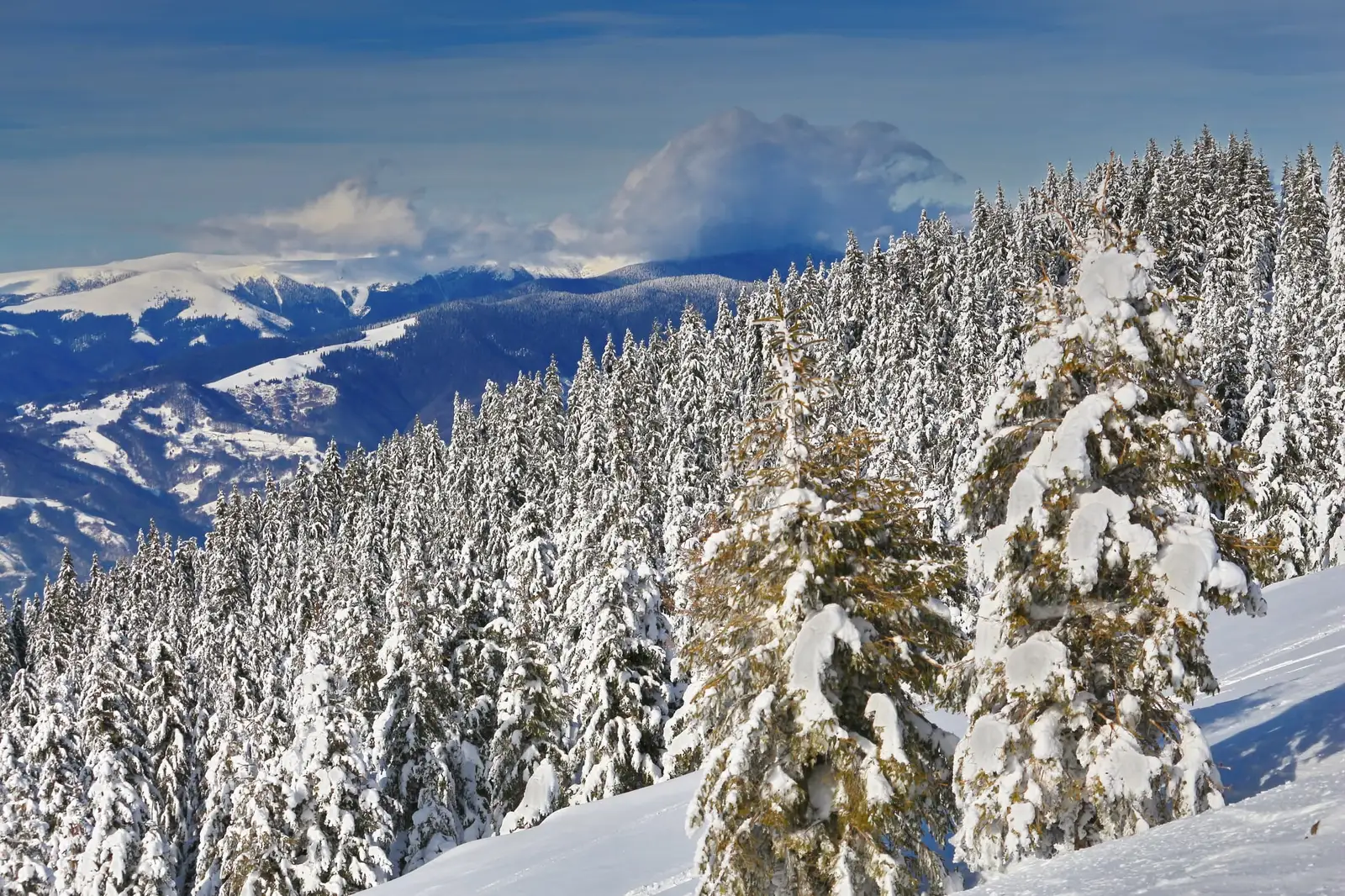  Muntii Latoritei, dincolo de brazi - Liana Marin