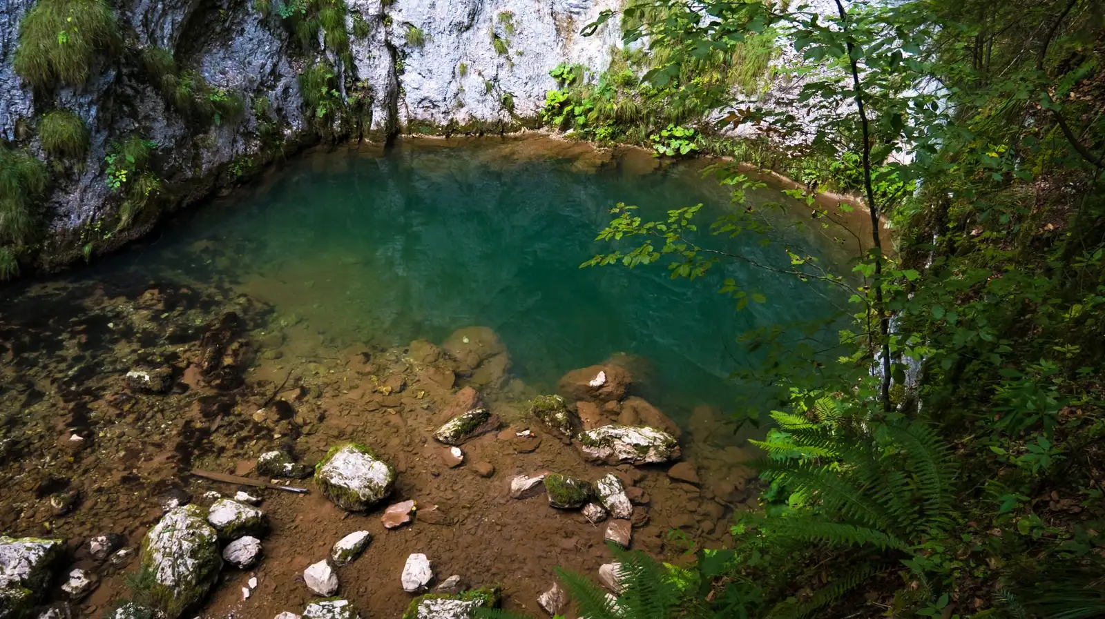 Izbucul Tăuzului - Popescu George