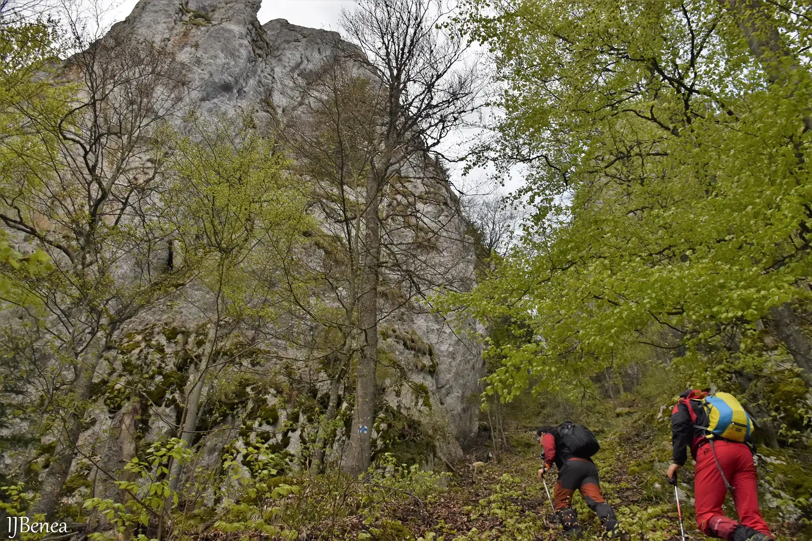  Cruce Albastra, abrupt pe un valcel - Ioan Benea Jurca