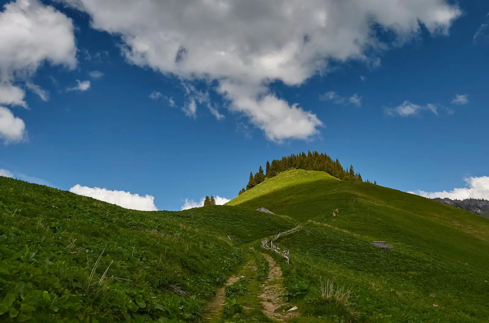 Poteca spre Stana Dealul Popii - Robert Dogaru 