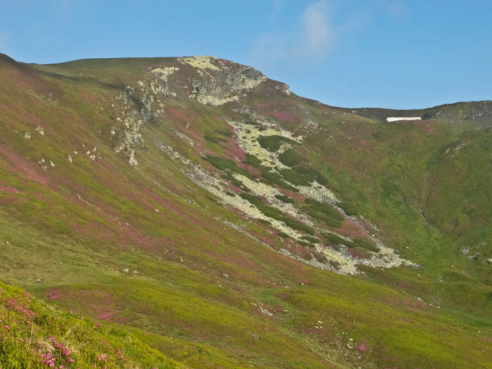  Curgere roz de pe vf. Cormaia - Alina Cîrja