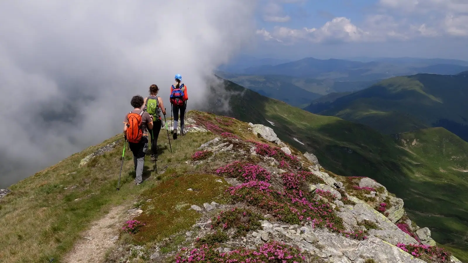  Pe creasta principala - Alina Cîrja