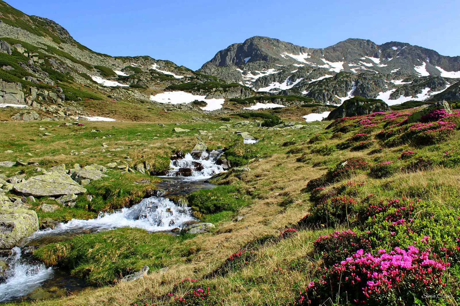  Valea Stânişoarei., Pârâul Stânişoara., Vf. Bucura II şi Curmătura Bucurei - Sima Constantin