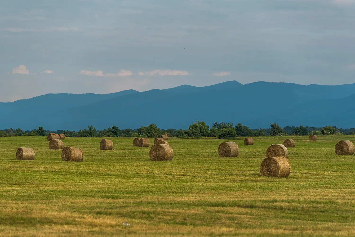 Munții Făgărașului